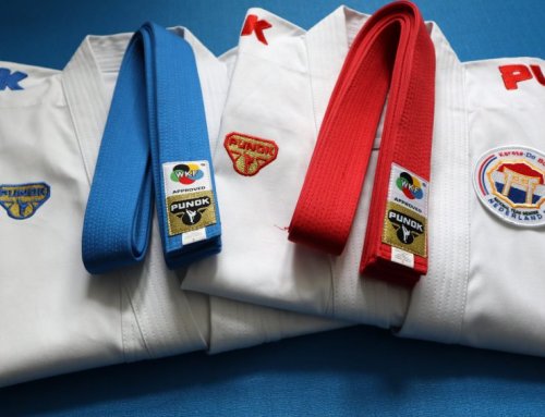 Karate-influencers: the ranking