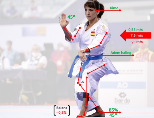 AI en vechtsporten, wat mogen wij verwachten?