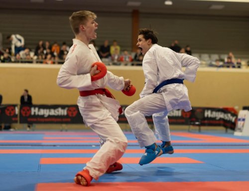 Hayashi Int. Amsterdam Karate Cup 2025